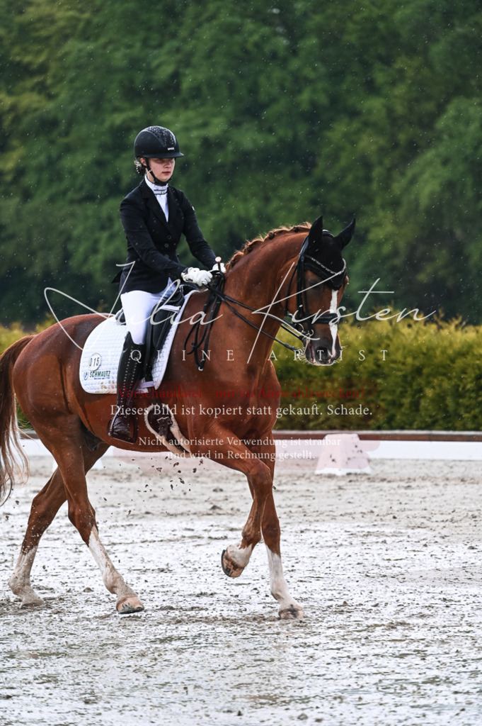DSC_4313 | Pferde- und Turnierfotografie in Westsachsen. Pferdeportraits, Auftragszeichnungen und intuitive Kunst.