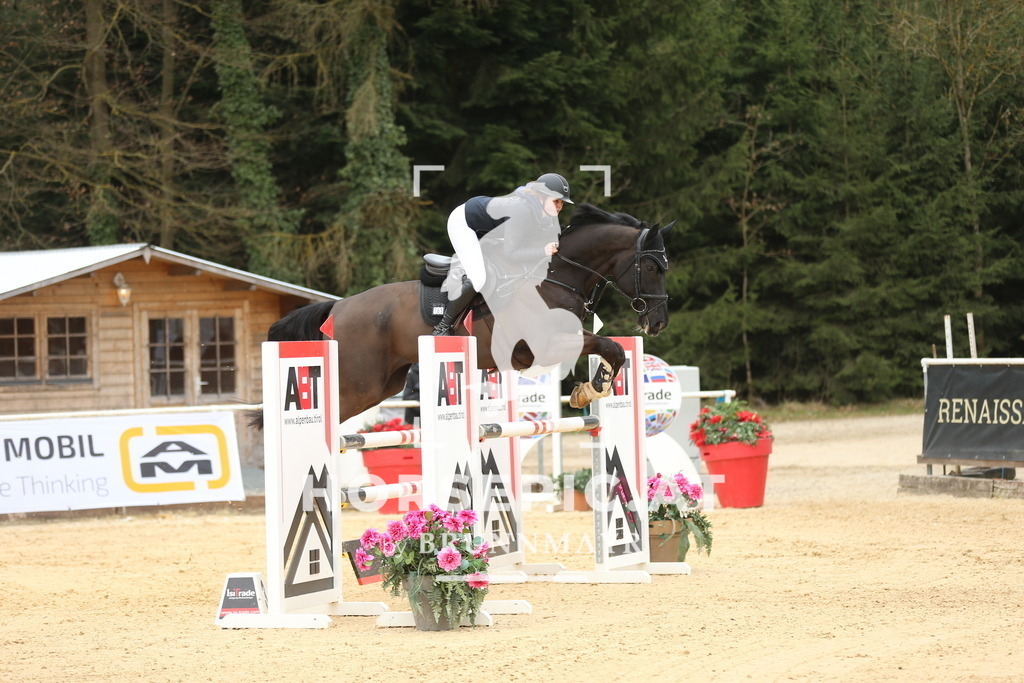 DL2Q5748 | Willkommen bei Brunnmayr - Design & Fotografie – Ihrem Spezialisten für Reitturniere und Pferdeveranstaltungen in Oberösterreich, Salzburg und Bayern! Seit über 17 Jahren sind wir leidenschaftlich dabei.