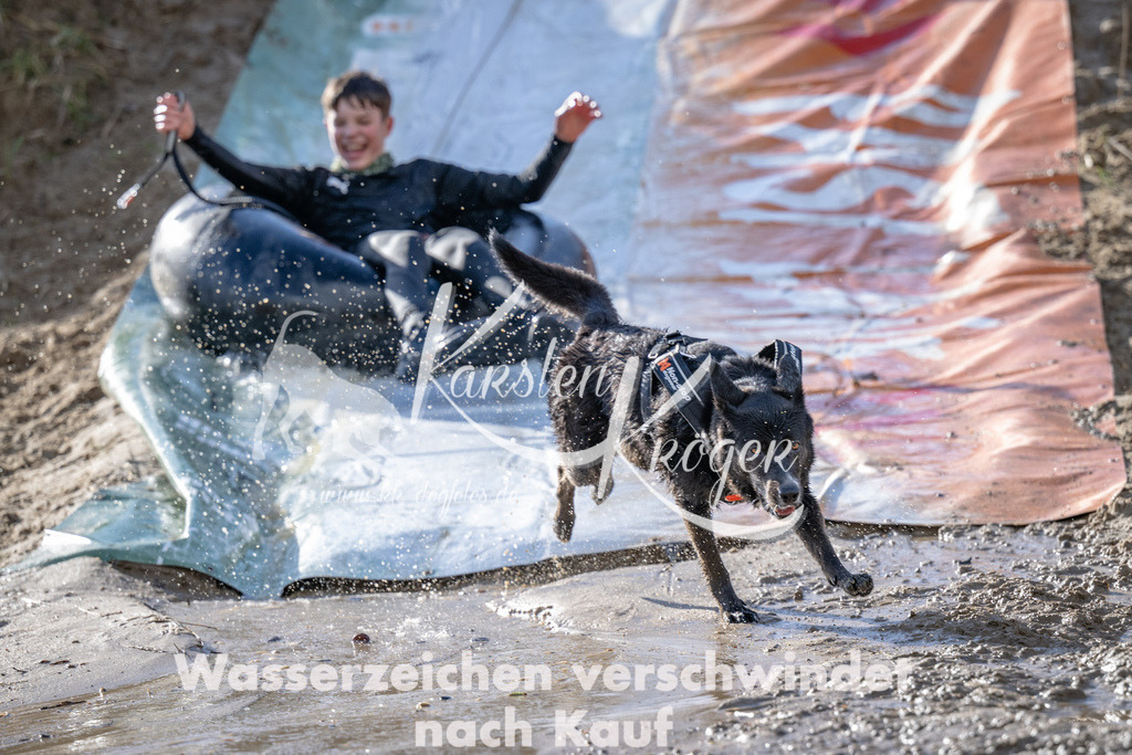 1557_ZZ92354 | kk-dogfotos