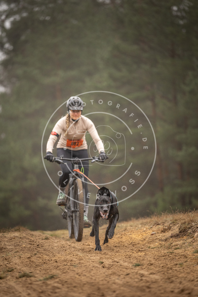 Pfotenfotografie_DV3A2772 | Hundefotografie, Tierfotograf, Pfotenfotografie, Fotoshooting Hund, Hunde Portrait, Hundesport, Hundeportraits, Heideshooting, Hunde, Sportfotograf, Hundefotograf, Turnierhundsport, THS,  - Realisiert mit Pictrs.com