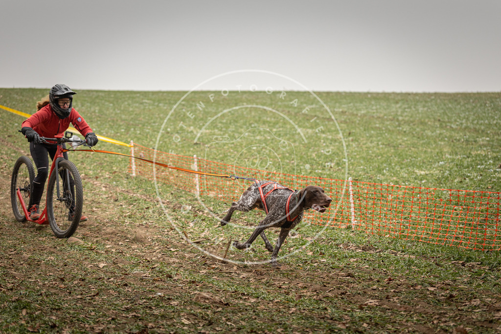 Pfotenfotografie_DV3A3642 | Hundefotografie, Tierfotograf, Pfotenfotografie, Fotoshooting Hund, Hunde Portrait, Hundesport, Hundeportraits, Heideshooting, Hunde, Sportfotograf, Hundefotograf, Turnierhundsport, THS,  - Realisiert mit Pictrs.com