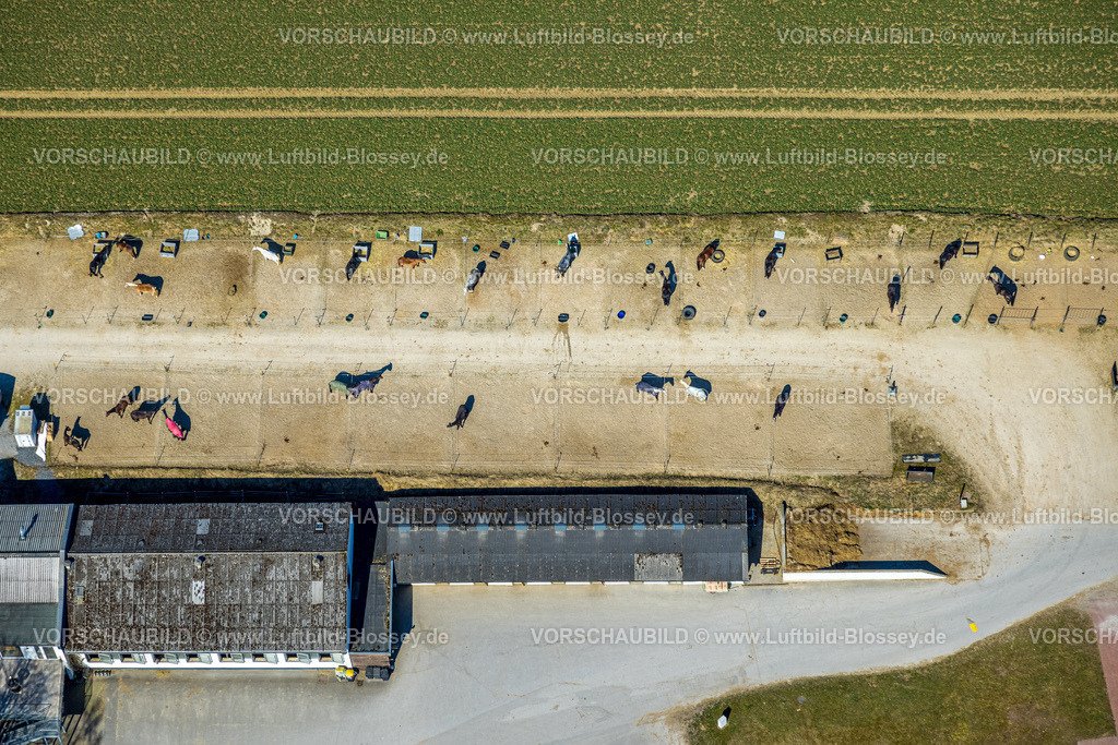 Balve250304119 | Luftbild, Pferdeplatz und Reitanlage mit Turnierplatz am Schloss Wocklum, Reitverein Balve e.V., Beckum, Balve, Sauerland, Nordrhein-Westfalen, Deutschland