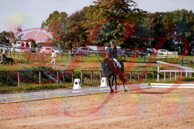 2026_10_03_Siefer-Hof_115626_Z81_97431885 | Professionelle Reitsport-, Turnier- und Eventfotografie von Robert Broda. Galerien mit ausgewählten und bearbeiteten Bildern direkt online ansehen und bestellen.
