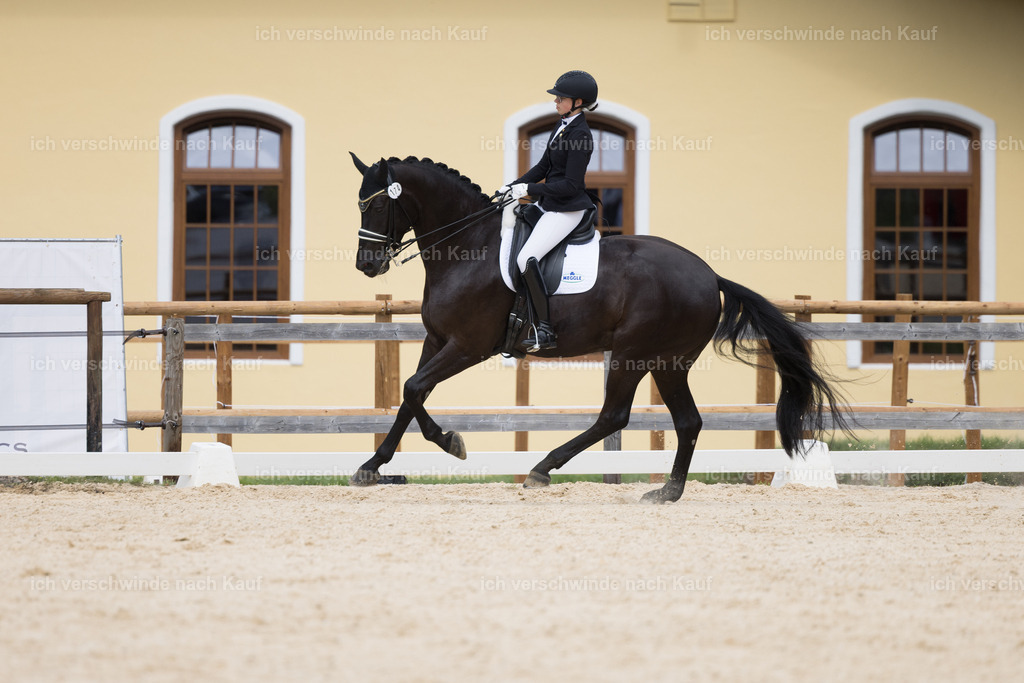 FHC2026_P02_174_13775 | Fichtenhof Classics 2026 – Dressurturnier, Reitanlage Fichtenhof, Schäftlarn