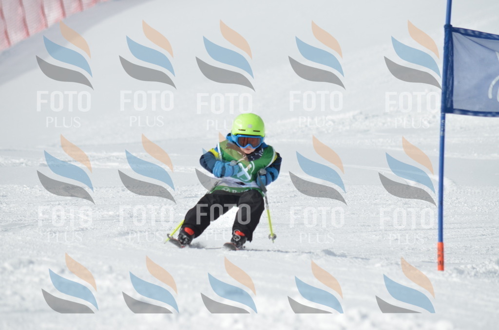 D8464 | holidayphoto