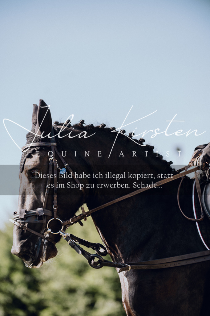 DSC_7018 | Pferde- und Turnierfotografie in Westsachsen. Pferdeportraits, Auftragszeichnungen und intuitive Kunst.