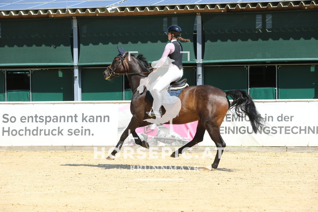 DL2Q5598 | Willkommen bei Brunnmayr - Design & Fotografie – Ihrem Spezialisten für Reitturniere und Pferdeveranstaltungen in Oberösterreich, Salzburg und Bayern! Seit über 17 Jahren sind wir leidenschaftlich dabei.