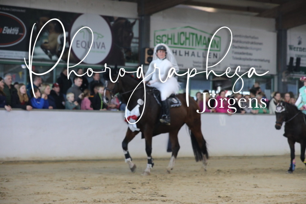 IMG_1781 | photographesa-joergens - Realisiert mit Pictrs.com