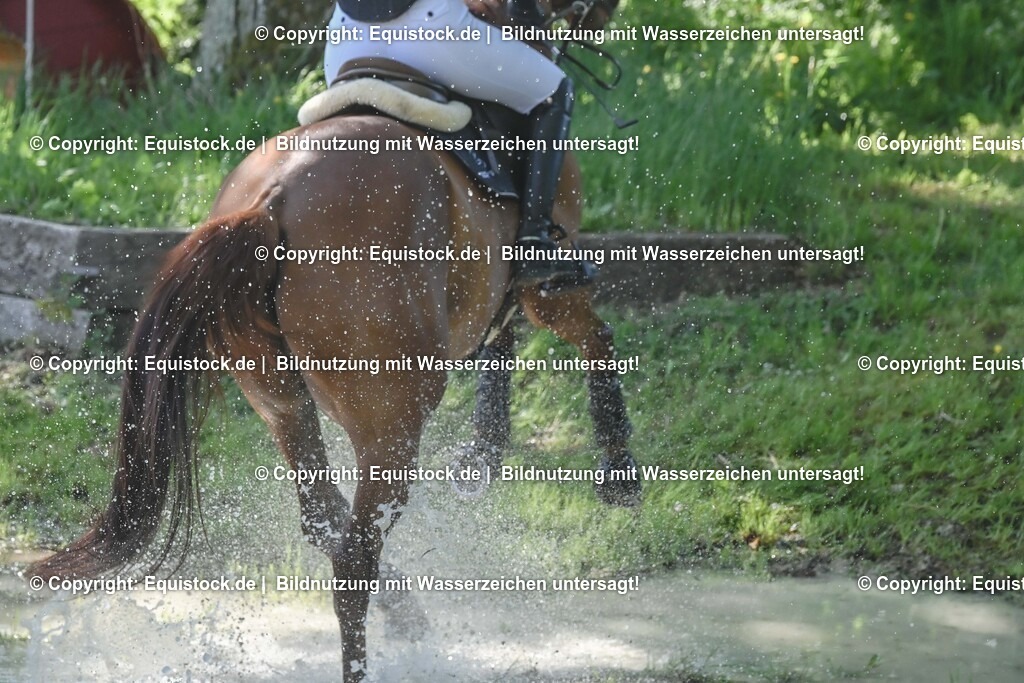 20250517_CCI2_Gelände_0719 | Foto: Thomas Hartig