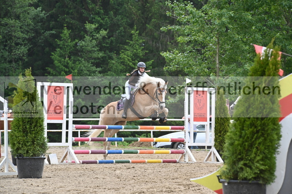DSC_8486 | equestrian-live-com