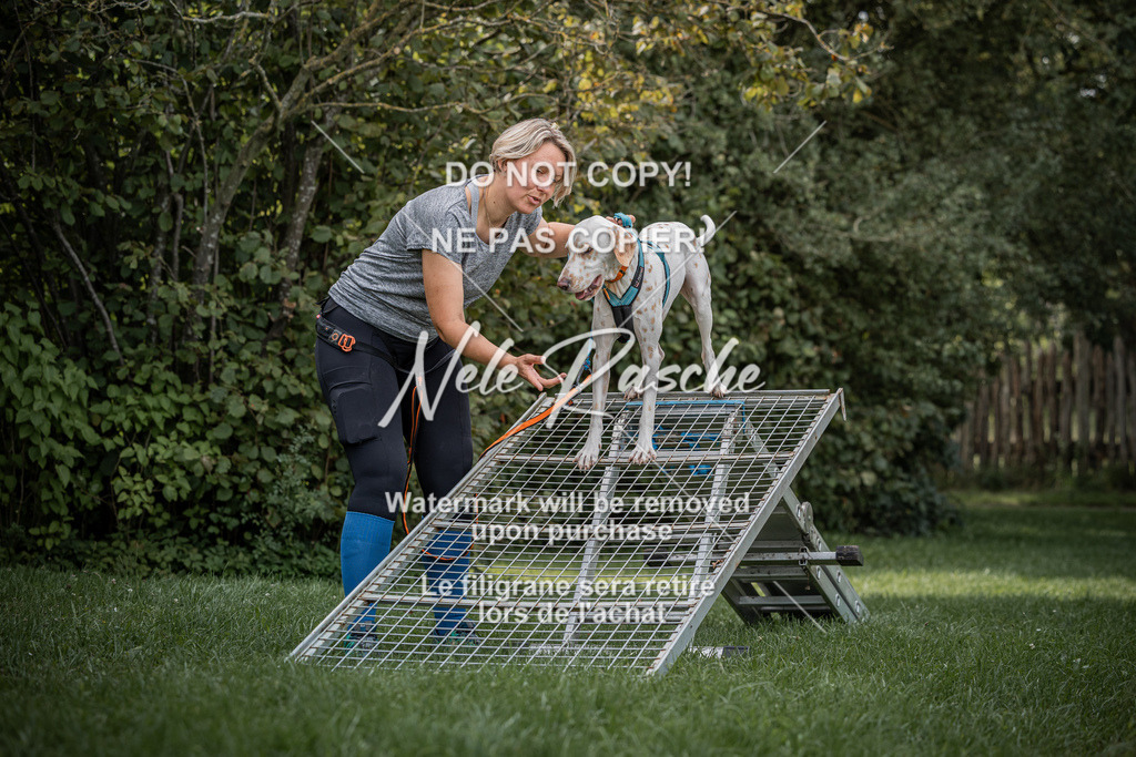 nelerasche_SoLauf_184 | nelerasche