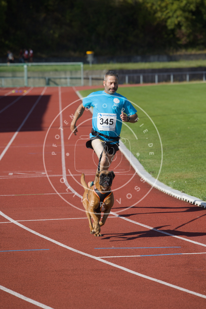 0L8A9111 | Hundefotografie, Tierfotograf, Pfotenfotografie, Fotoshooting Hund, Hunde Portrait, Hundesport, Hundeportraits, Heideshooting, Hunde, Sportfotograf, Hundefotograf, Turnierhundsport, THS,  - Realisiert mit Pictrs.com
