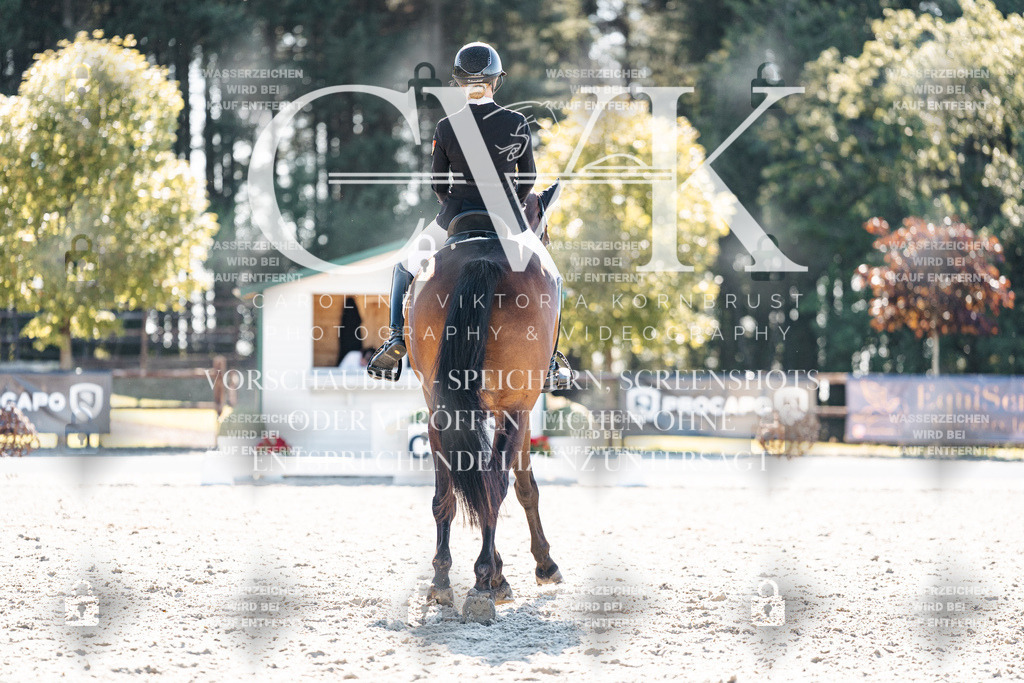 CK905652 | Turnierfotografie Pferdefotografie Trier Rheinland-Pfalz Pferdesport Reitsport Tierfotografie Sportfotografie Pferdevideo Pferdevideografie Equestrianvideography equestrianphotography  - Realisiert mit Pictrs.com