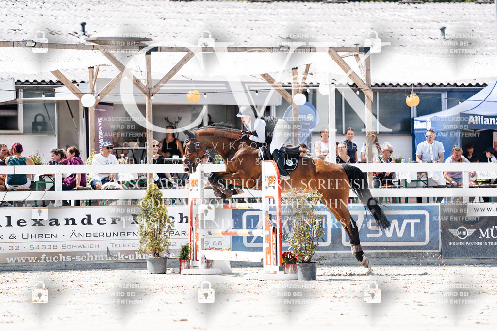 CK909623 | Turnierfotografie Pferdefotografie Trier Rheinland-Pfalz Pferdesport Reitsport Tierfotografie Sportfotografie Pferdevideo Pferdevideografie Equestrianvideography equestrianphotography  - Realisiert mit Pictrs.com