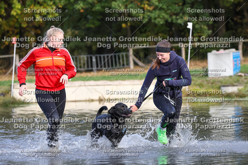 Dog Paparazzi - Strongdog 10-25-8274 | Dog Paparazzi Jeanette Grottendiek Fotografie & Videografie - Realisiert mit Pictrs.com