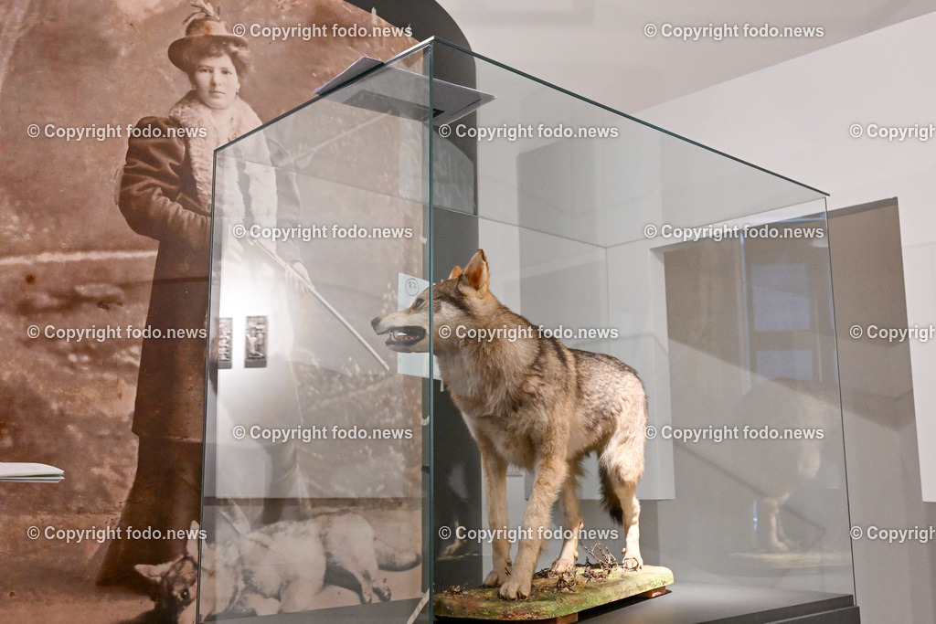 Enns_ Schloss Ennsegg_ Museum_ 19.06.2023-18 | 19.06.2023, Enns, AUT, Schloss Ennsegg, Museum, im Bild Museum, Vorbereitung der Ausstellung