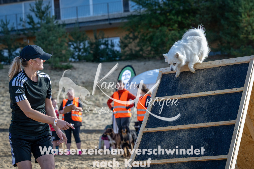 1105_ZZ90262 | kk-dogfotos