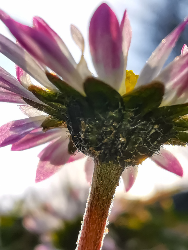 PSX_20230322_224809 | mtkfoto_ - Realisiert mit Pictrs.com