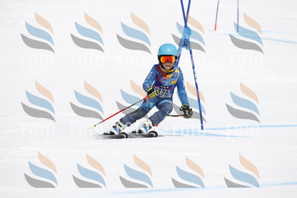 _U3G4609 | holidayphoto