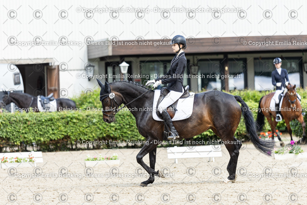 CL5A6034-2 | Emilia Reinking Fotografie - Realisiert mit Pictrs.com