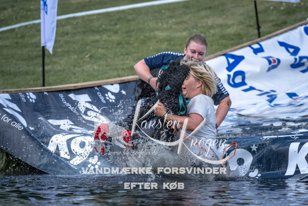 1100_ZZ90213 | kk-dogfotos