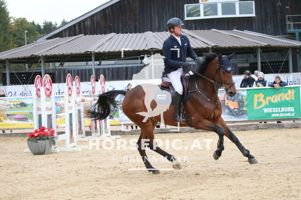 DL2Q6129 | Willkommen bei Brunnmayr - Design & Fotografie – Ihrem Spezialisten für Reitturniere und Pferdeveranstaltungen in Oberösterreich, Salzburg und Bayern! Seit über 17 Jahren sind wir leidenschaftlich dabei.
