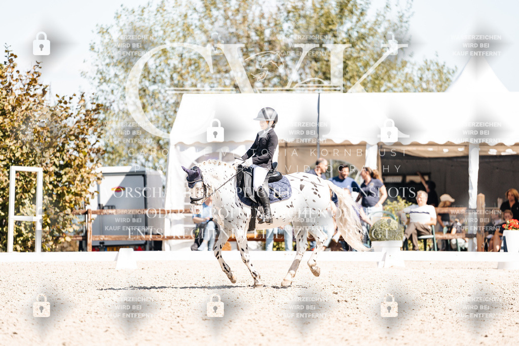 CK904161 | Turnierfotografie Pferdefotografie Trier Rheinland-Pfalz Pferdesport Reitsport Tierfotografie Sportfotografie Pferdevideo Pferdevideografie Equestrianvideography equestrianphotography  - Realisiert mit Pictrs.com
