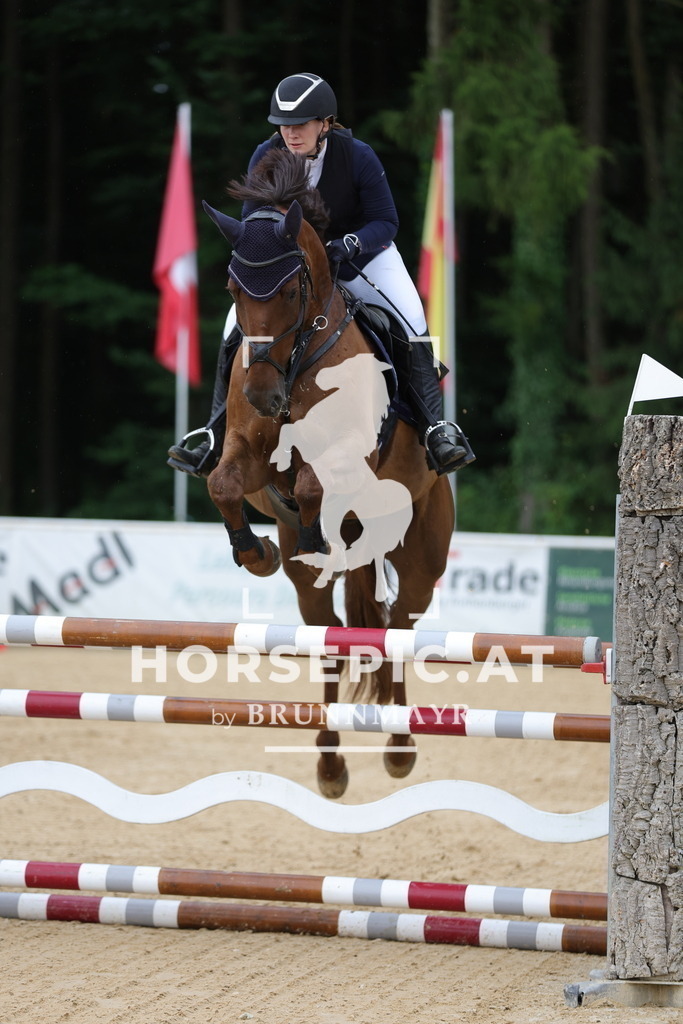 0P6A2363 | Willkommen bei Brunnmayr - Design & Fotografie – Ihrem Spezialisten für Reitturniere und Pferdeveranstaltungen in Oberösterreich, Salzburg und Bayern! Seit über 17 Jahren sind wir leidenschaftlich dabei.