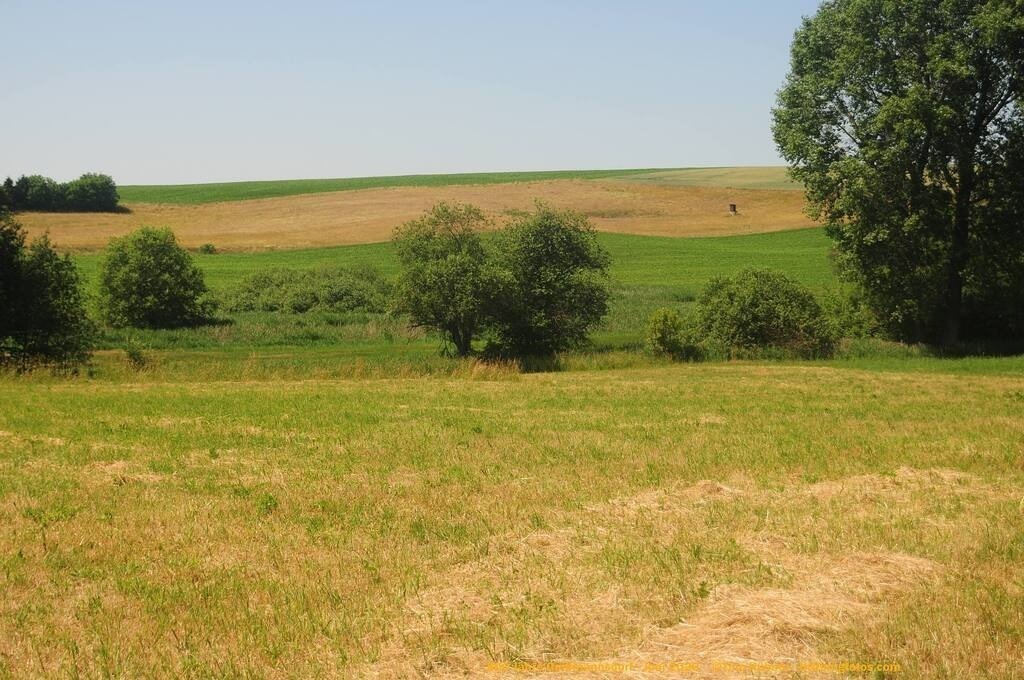 Geißmannsdorf-2026-Ortsbilder-619 | Geißmannsdorf bei Bischofswerda im Sommer 2026. Ein fotografischer Streifzug durch das Dorf Geißmannsdorf, mit Gebäuden, Straßen, Strohpuppen und geschmückten Vorgärten und Grundstücken anlässlich der 800-Jahr-Feier von Geißmannsdorf im Juni 2026 - Realisiert mit Pictrs.com