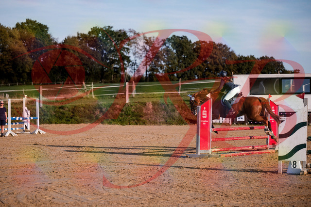 2026_10_03_Siefer-Hof_171200_Z81_08978036 | Professionelle Reitsport-, Turnier- und Eventfotografie von Robert Broda. Galerien mit ausgewählten und bearbeiteten Bildern direkt online ansehen und bestellen.