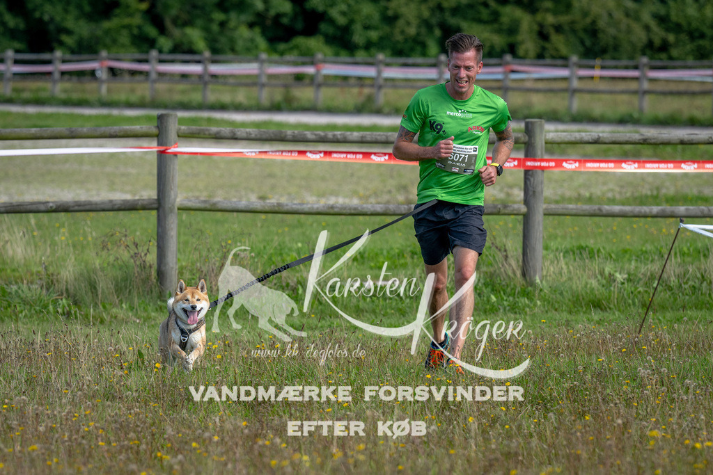 1128_ZZ92464 | kk-dogfotos