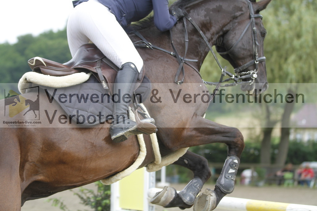 _MG_2987 | equestrian-live-com