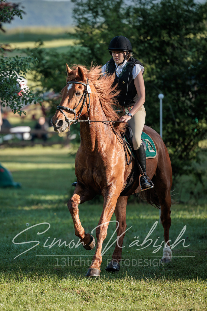 20260523-_3LI5871 | Tierfotografie Pferde, Hunde, Katzen, Haustiere.
Turnierfotografie Reitturniere, Reiten, Springreiten, Dressur in Hanau, dem Main-Kinzig-Kreis und dem Rhein-Main- Gebiet um Frankfurt