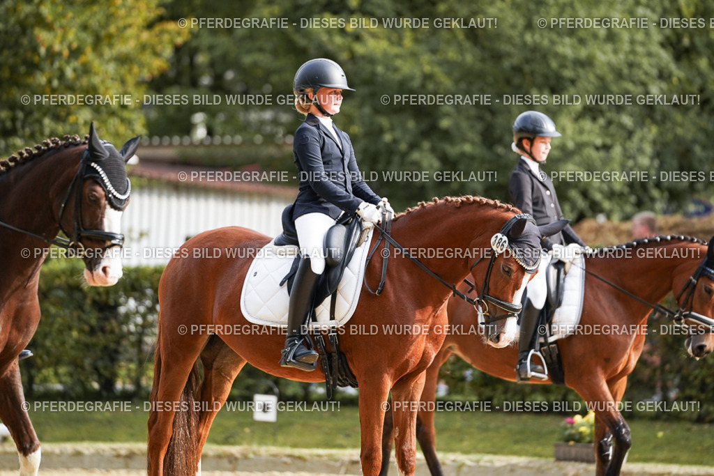 DSC05071 | Pferdegrafie