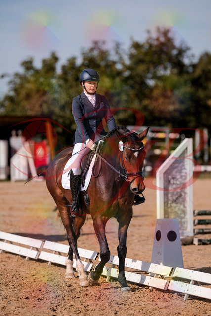 2026_10_03_Siefer-Hof_125535_Z81_44866627 | Professionelle Reitsport-, Turnier- und Eventfotografie von Robert Broda. Galerien mit ausgewählten und bearbeiteten Bildern direkt online ansehen und bestellen.