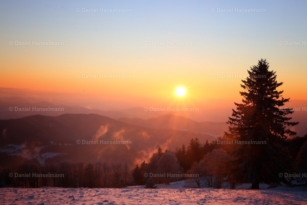 IMG_1465 | Hier finden Sie Poster, Leinwandfotos sowie viele weitere Fotoprodukte mit Motiven aus dem Schwarzwald, aus Freiburg und dem Kaiserstuhl zum Download und zum Bestellen.  - Realisiert mit Pictrs.com