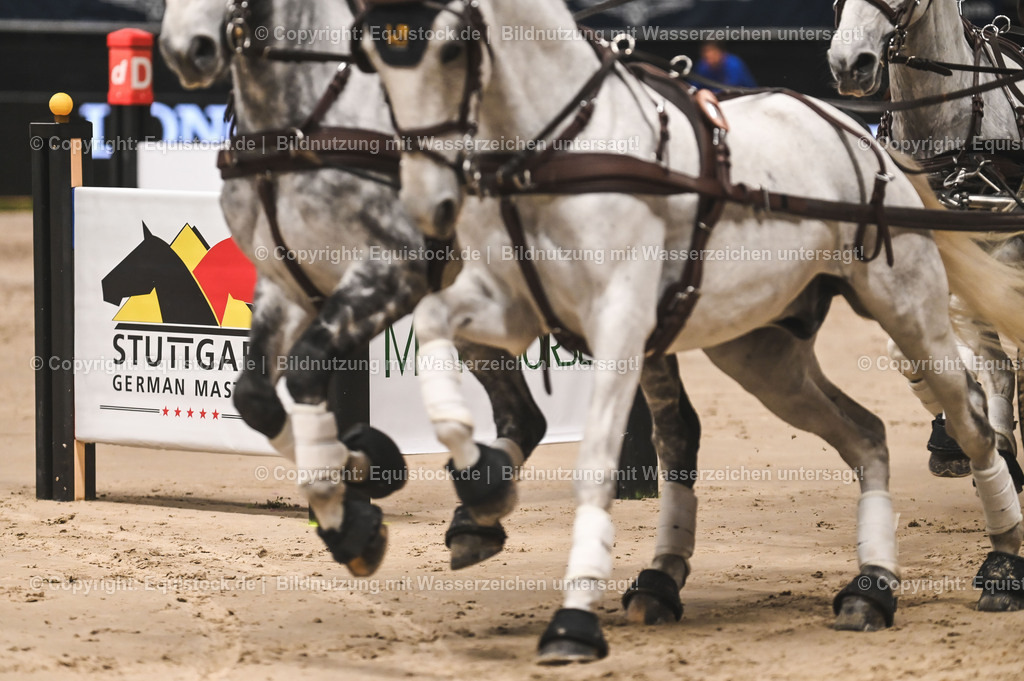 20241116_Fahren-Masterhorse_TOMsPiC_0165 | Foto: Thomas Hartig