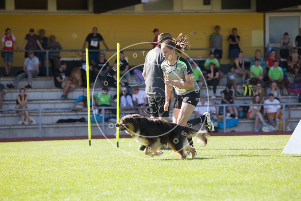 0L8A8148 | Hundefotografie, Tierfotograf, Pfotenfotografie, Fotoshooting Hund, Hunde Portrait, Hundesport, Hundeportraits, Heideshooting, Hunde, Sportfotograf, Hundefotograf, Turnierhundsport, THS,  - Realisiert mit Pictrs.com