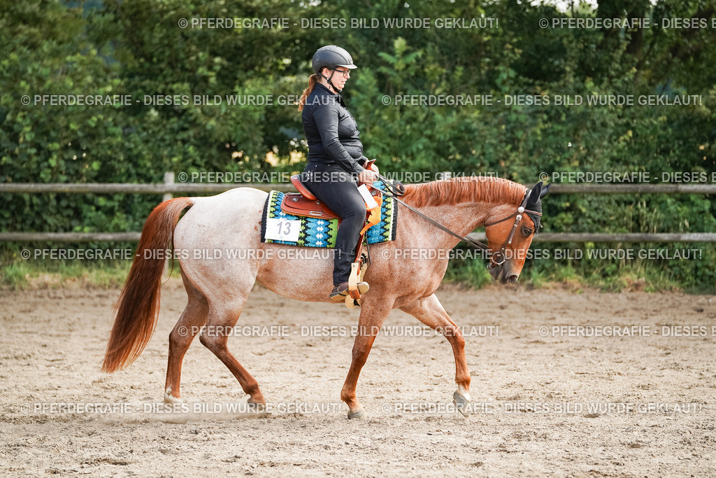 DSC04693 | Pferdegrafie