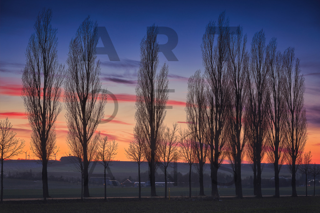 Ein Hans Fineart Original | Entdecke die Kunst von Hans Fineart - Fotografien für dein Zuhause. Verwandle deine Wände mit einzigartigen Kunstwerken und bringe die Schönheit der Welt in dein Leben. Bestelle jetzt und schaffe einen Ort der Inspiration und Eleganz.