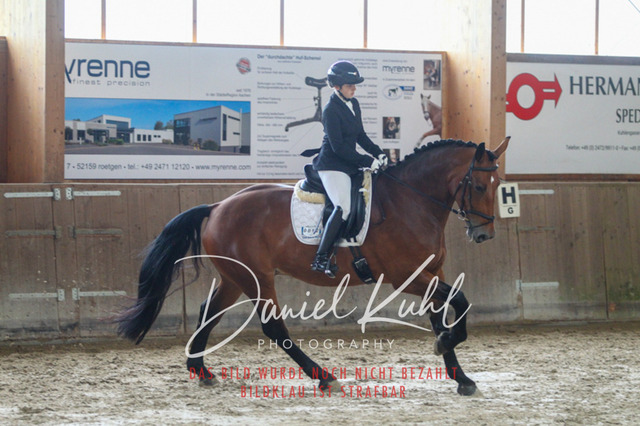 DKP44185 | Turniersportfotografie; Pferdefotografie; Dressurfotografie