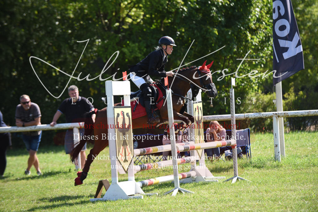 DSC_9281 | Pferde- und Turnierfotografie in Westsachsen. Pferdeportraits, Auftragszeichnungen und intuitive Kunst.