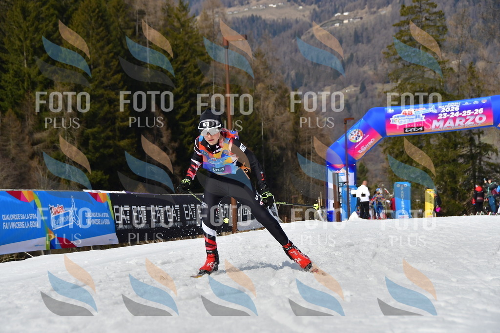 _DSC0682 | holidayphoto