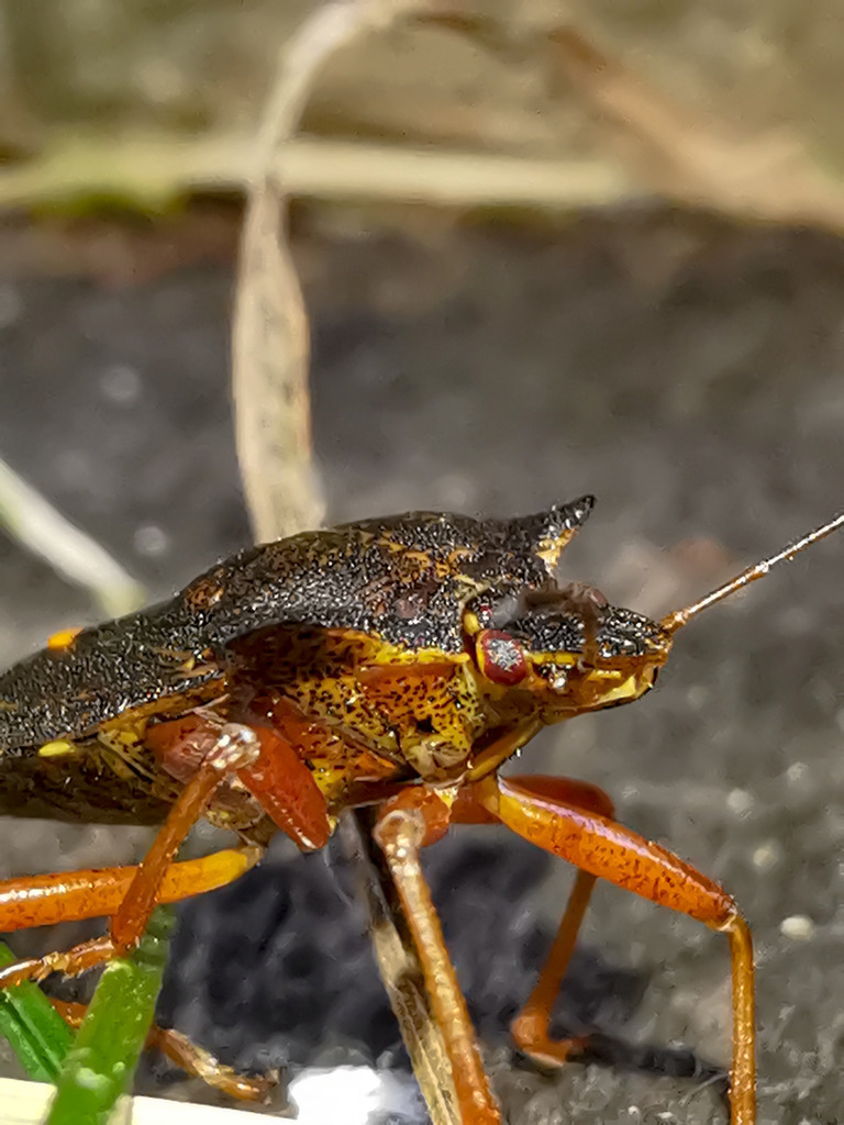 PSX_20230823_225859 | mtkfoto_ - Realisiert mit Pictrs.com