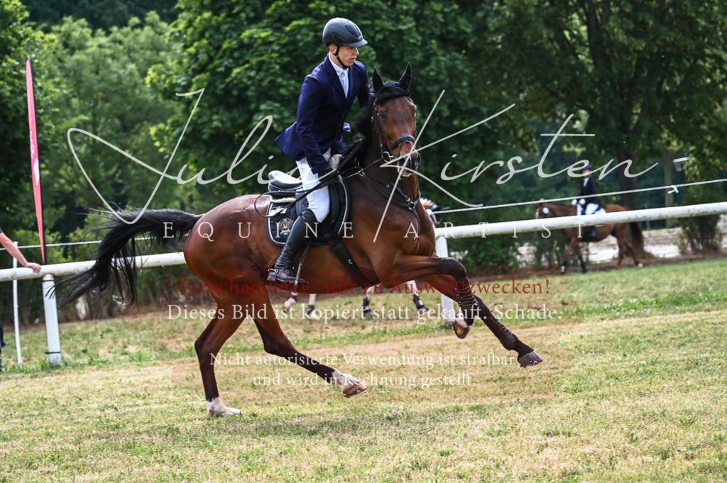 DSC_8394 | Pferde- und Turnierfotografie in Westsachsen. Pferdeportraits, Auftragszeichnungen und intuitive Kunst.