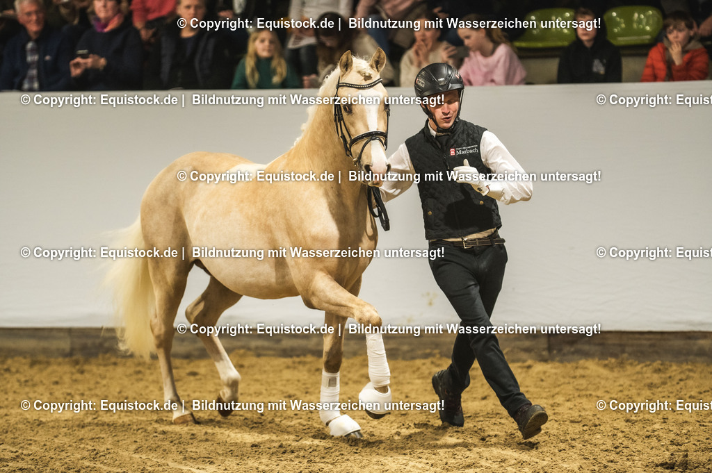 20240302_Hengstvorstellung_Marbach_TOMsPiC_0807 | equistock