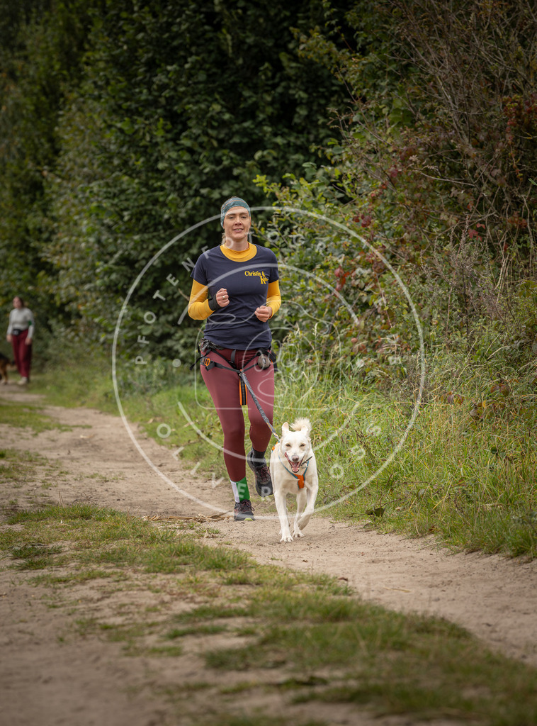 Pfotenfotografie_DV3A8239 | Hundefotografie, Tierfotograf, Pfotenfotografie, Fotoshooting Hund, Hunde Portrait, Hundesport, Hundeportraits, Heideshooting, Hunde, Sportfotograf, Hundefotograf, Turnierhundsport, THS,  - Realisiert mit Pictrs.com
