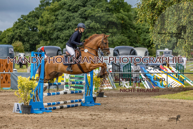 17.8 SP 27-2 A (235 von 616) | mandyhollmannphotographie