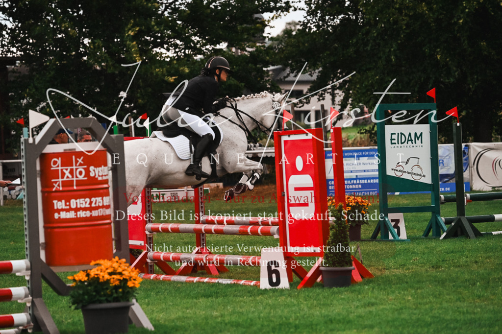 DSC_6188 | Pferde- und Turnierfotografie in Westsachsen. Pferdeportraits, Auftragszeichnungen und intuitive Kunst.