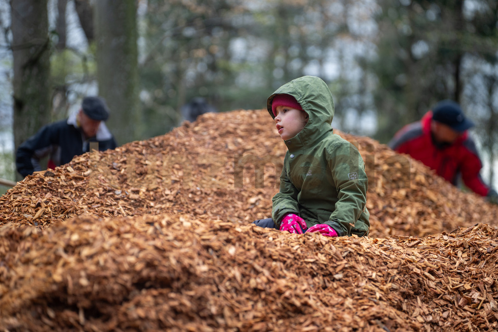 084_Waldputzete Reinacher Wald_kunzmedia.ch | OnlineShop für Bilder kunzmedia.ch